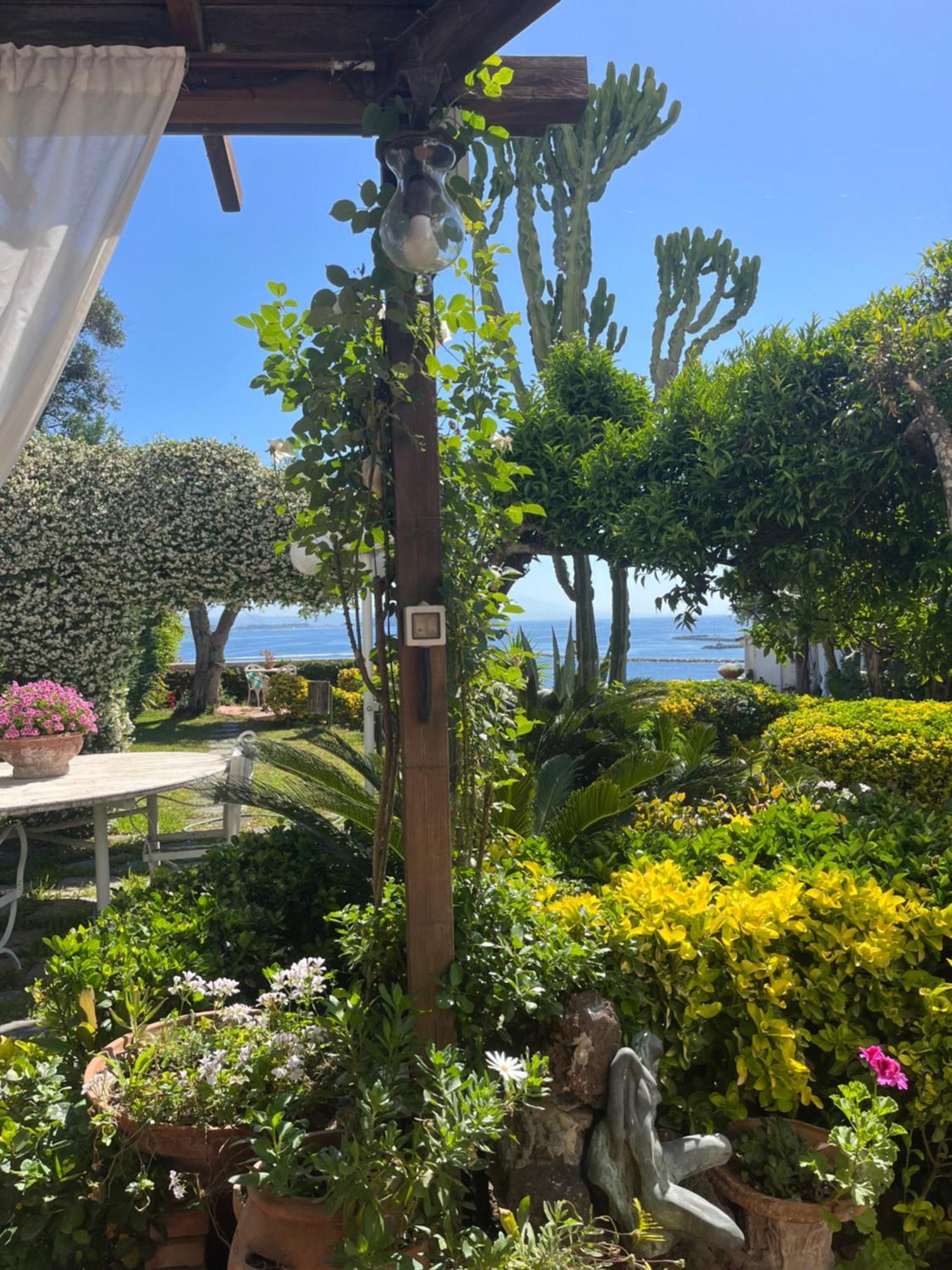 Summer Paradise Procida Exterior foto